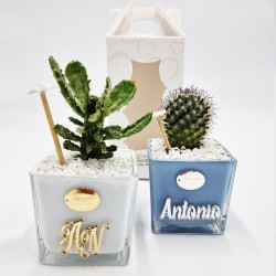 Vaso Personalizzato con Pianta Grassa - Design Unico e Regalo Perfetto