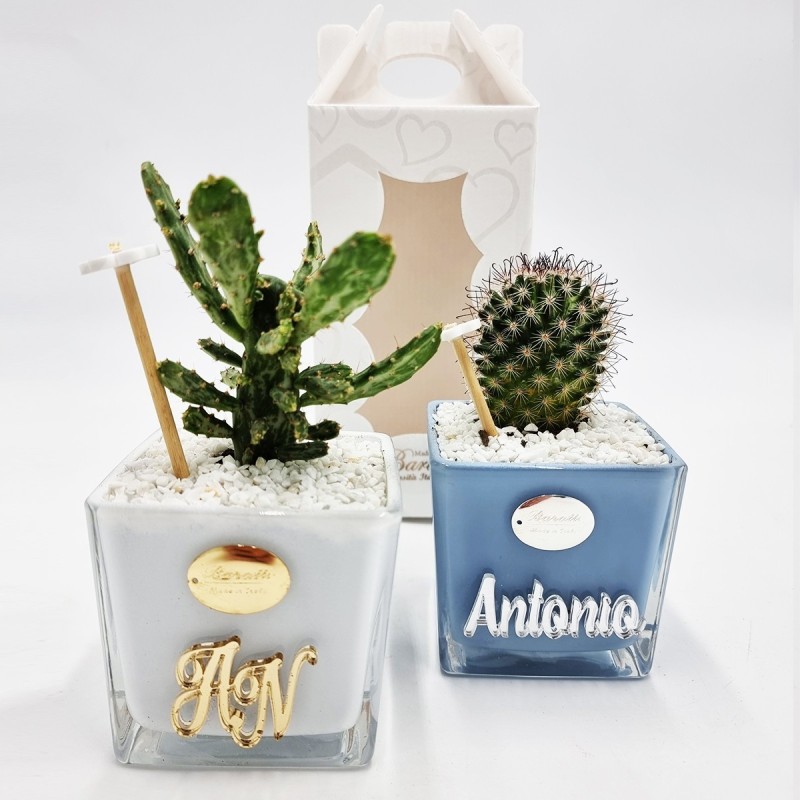 Vaso Personalizzato con Pianta Grassa - Design Unico e Regalo Perfetto Vaso Personalizzato con Pianta Grassa - Design Unico e Regalo Perfetto