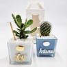 Vaso Personalizzato con Pianta Grassa - Design Unico e Regalo Perfetto Vaso Personalizzato con Pianta Grassa - Design Unico e Regalo Perfetto