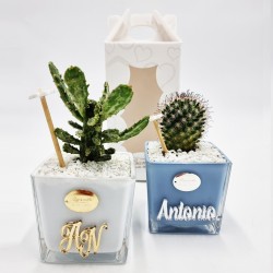 Vaso Personalizzato con Pianta Grassa - Design Unico e Regalo Perfetto