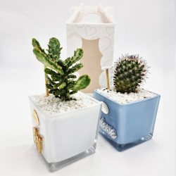 Vaso Personalizzato con Pianta Grassa - Design Unico e Regalo Perfetto