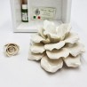 Profumatore Rosa Avorio: Eleganza e Design Made in Italy Profumatore Rosa Avorio: Eleganza e Design Made in Italy