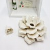Profumatore Rosa Avorio: Eleganza e Design Made in Italy Profumatore Rosa Avorio: Eleganza e Design Made in Italy