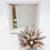 Profumatore Riccio Tortora: Eleganza e Design Made in Italy Profumatore Riccio Tortora: Eleganza e Design Made in Italy