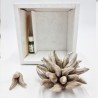 Profumatore Riccio Tortora: Eleganza e Design Made in Italy Profumatore Riccio Tortora: Eleganza e Design Made in Italy