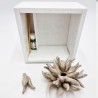 Profumatore Riccio Tortora: Eleganza e Design Made in Italy Profumatore Riccio Tortora: Eleganza e Design Made in Italy