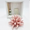 Profumatore Riccio Rosa: Eleganza e Design Made in Italy Profumatore Riccio Rosa: Eleganza e Design Made in Italy