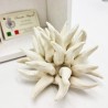 Profumatore Riccio Avorio: Eleganza e Design Made in Italy