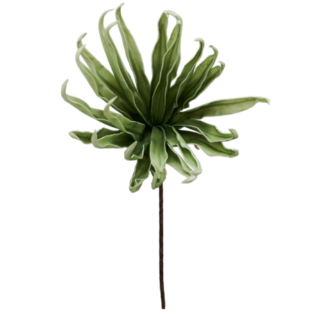 Agave Verde H82cm: Decorazioni Casa Uniche e Regali