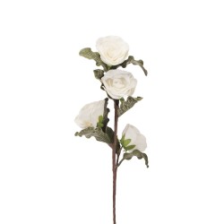 Rosa Bianca: Eleganza in Polyfoam per il Tuo Arredo