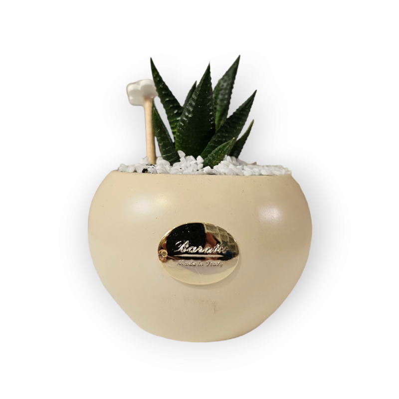 Vasetto con Piantina Grassa: Bomboniera Artigianale Pastello Vasetto con Piantina Grassa: Bomboniera Artigianale Pastello