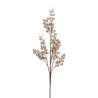 Bacche Champagne 80cm