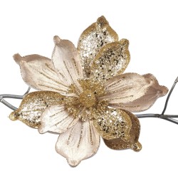Golden Magnolia 24cm