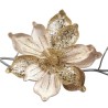 Golden Magnolia 24cm