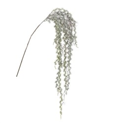 Ramo di Pino 142,5cm
